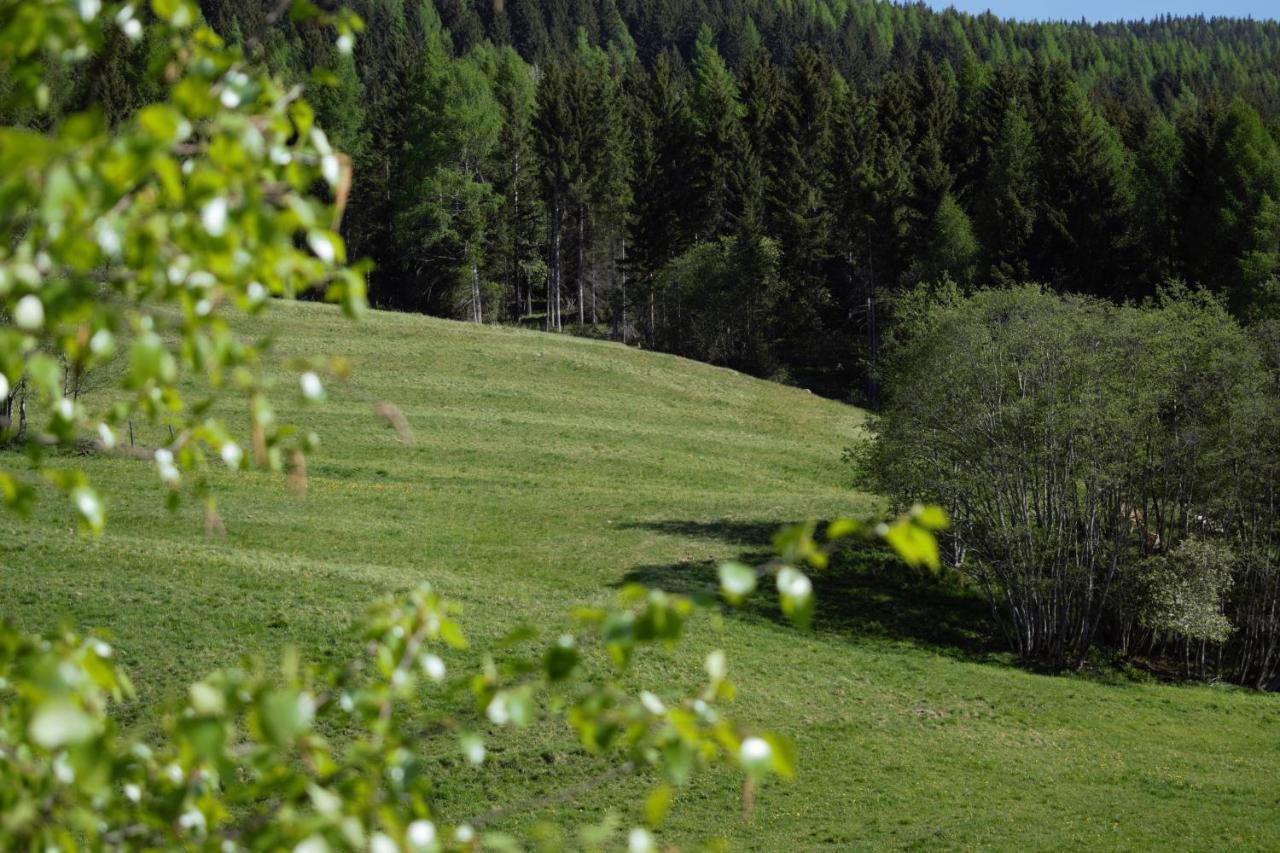 Landhaus Holzer Sankt Margarethen im Lungau Exteriér fotografie